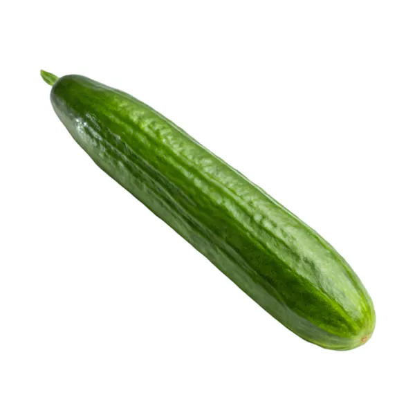 ENGLISH CUCUMBERS 3 COUNT