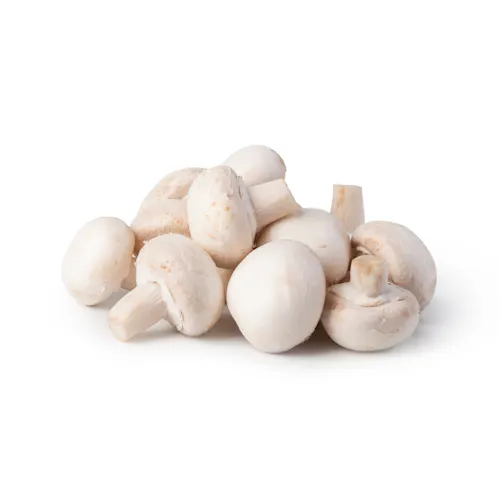 MEDIUM WHITE MUSHROOM #1
