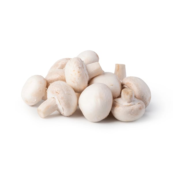 MEDIUM WHITE MUSHROOM #1