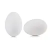 EXTRA LARGE LOOSE SHELL EGGS 15 DOZ