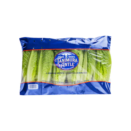 TANIMURA & ANTLE ROMAINE HEARTS