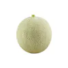 CANTALOUPE MELONS 12 COUNT FRESH