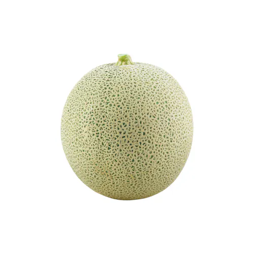 CANTALOUPE MELONS 12 COUNT FRESH