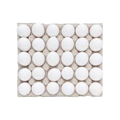 SUNSHINE EGGS SHELL LARGE GRADE AA WHITE CAGE-FREE LOOSE PACK 15 DOZEN