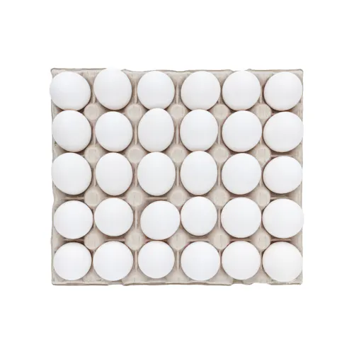 SUNSHINE EGGS SHELL LARGE GRADE AA WHITE CAGE-FREE LOOSE PACK 15 DOZEN