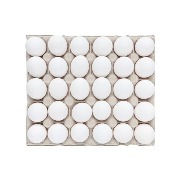 SUNSHINE EGGS SHELL LARGE GRADE AA WHITE CAGE-FREE LOOSE PACK 15 DOZEN