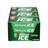 DENTYNE SPEARMINT ICE GUM