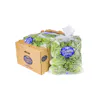 TANIMURA & ANTLE BAG GREEN LEAF LETTUCE