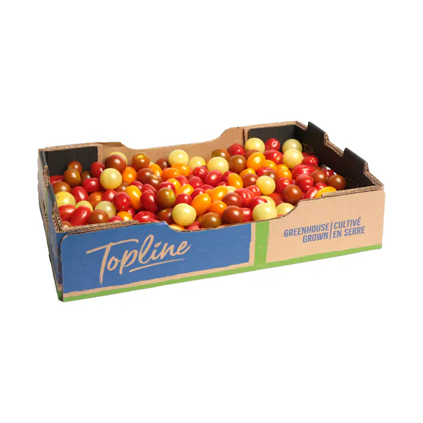 MINI TOMATO MEDLEY 6LB