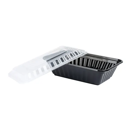 ECO-SYSTEMS 24 OZ MICROWAVEABLE RECTANGLE CONTAINER & LID COMBO