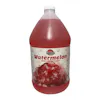 MR. C'S WATERMELON FOUNTAIN SYRUP