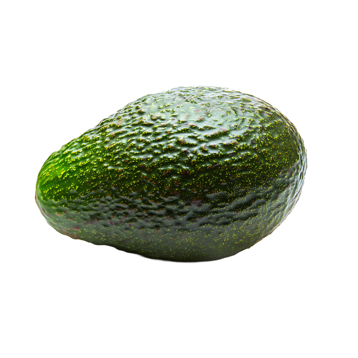 GREEN HASS AVOCADO 70 COUNT - US Foods CHEF'STORE