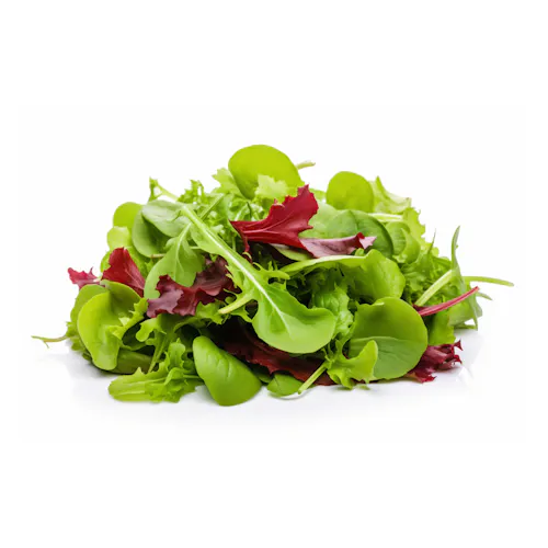 BABY MESCLUN SPRING SALAD MIX