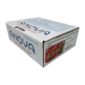 ANOVA TUNA POKE CUBE 1.6 CM