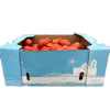 ROMA TOMATOES