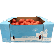 ROMA TOMATOES
