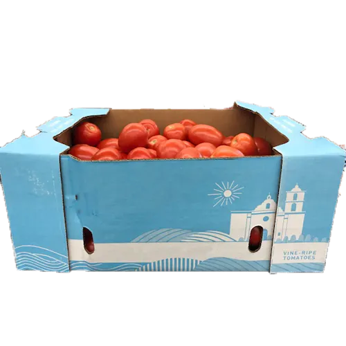 ROMA TOMATOES