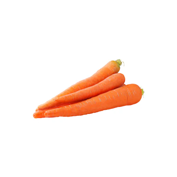 CARROT BULK FRESH