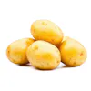 YELLOW POTATOES #2 15LBS