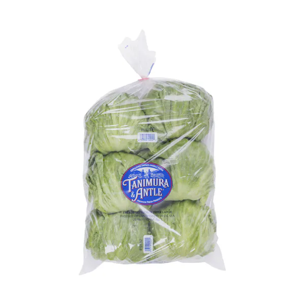 ICEBERG LETTUCE 6 COUNT