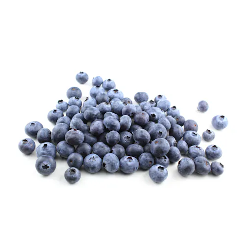 BLUEBERRY FRESH
