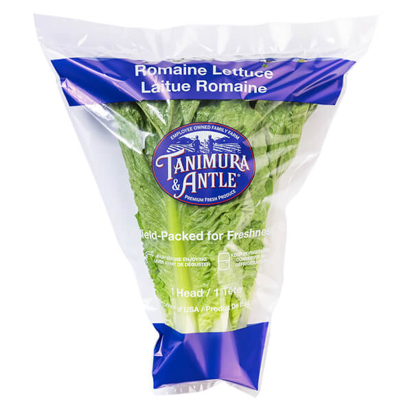 WRAPPED ROMAINE LETTUCE 15 COUNT