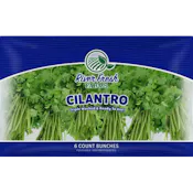 RIVER FRESH FARMS CILANTRO BUNCH