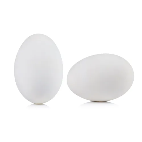 LARGE LOOSE SHELL EGGS 15 DOZ