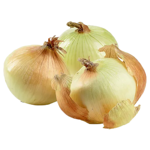 SWEET ONIONS