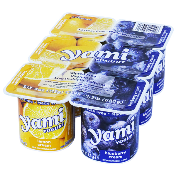 YAMI YOGURT BLUEBERRY LEMON