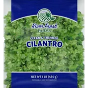 RIVER FRESH FARMS CILANTRO 1 LB BAG