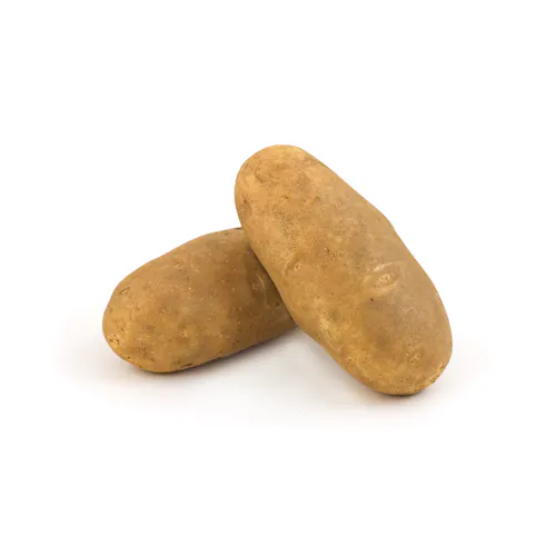 RUSSET POTATOES 90 COUNT