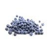 BLUEBERRIES 18 OZ