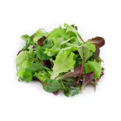 ORGANIC SPRING MIX CARTON