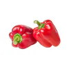 PEPPER BELL RED #1 GRADE LARGE BAG
