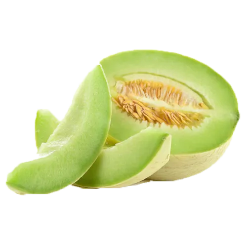 HONEYDEW MELONS