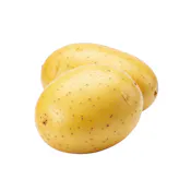 YELLOW #2 POTATOES