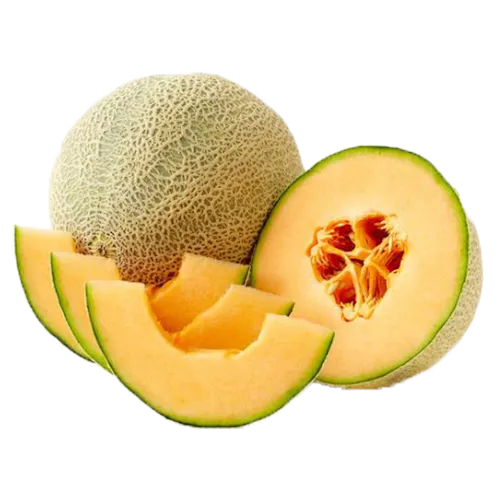 CANTALOUPE MELONS 9 COUNT