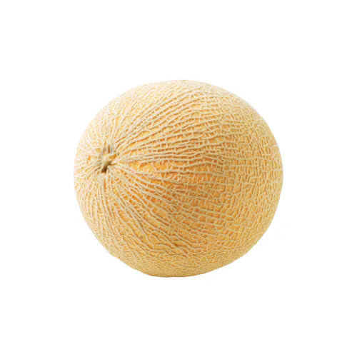 CANTALOUPES 9-12 COUNT LARGE FRESH