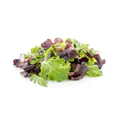 SPRING MIX SALAD BULK FRESH