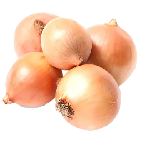 YELLOW ONIONS 10 LB