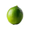LIME CHOICE PERSIAN 25-35 COUNT IMPORTED