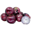 RED ONIONS 10 POUND