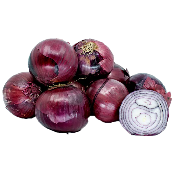 RED ONIONS 10 POUND