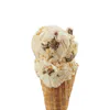 CASCADE GLACIER ICE CREAM DENALI CARAMEL CARIBOU