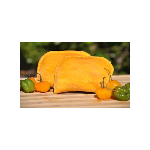 HOTPIE TURNOVER CHICKEN CURRY 6.5 OZ RAW