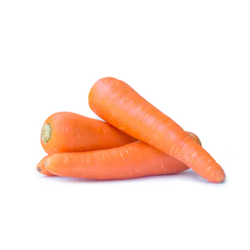 CARROT JUMBO FRESH